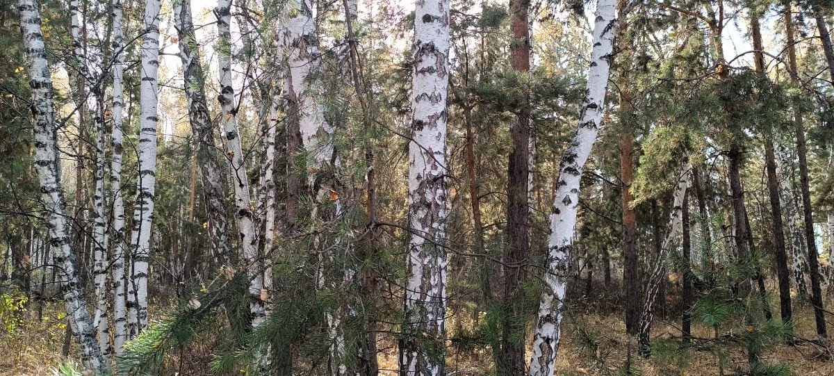 Шепот души или как оживают слова