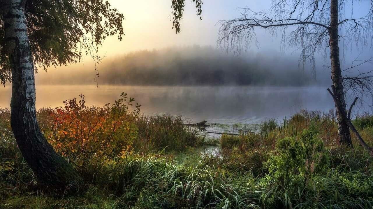 Сгущаются цвета в краю родном. 4 строки