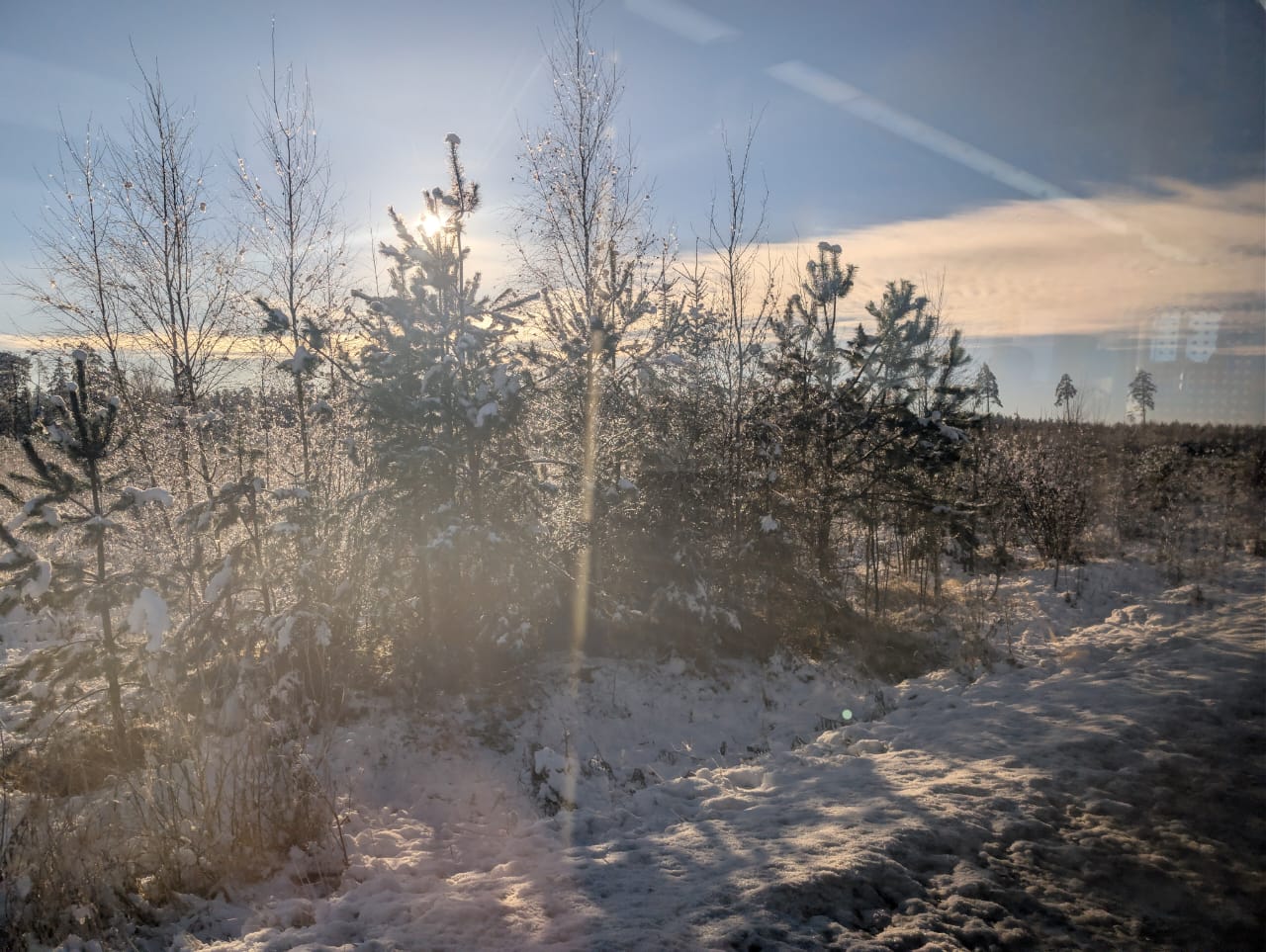 Первый снег