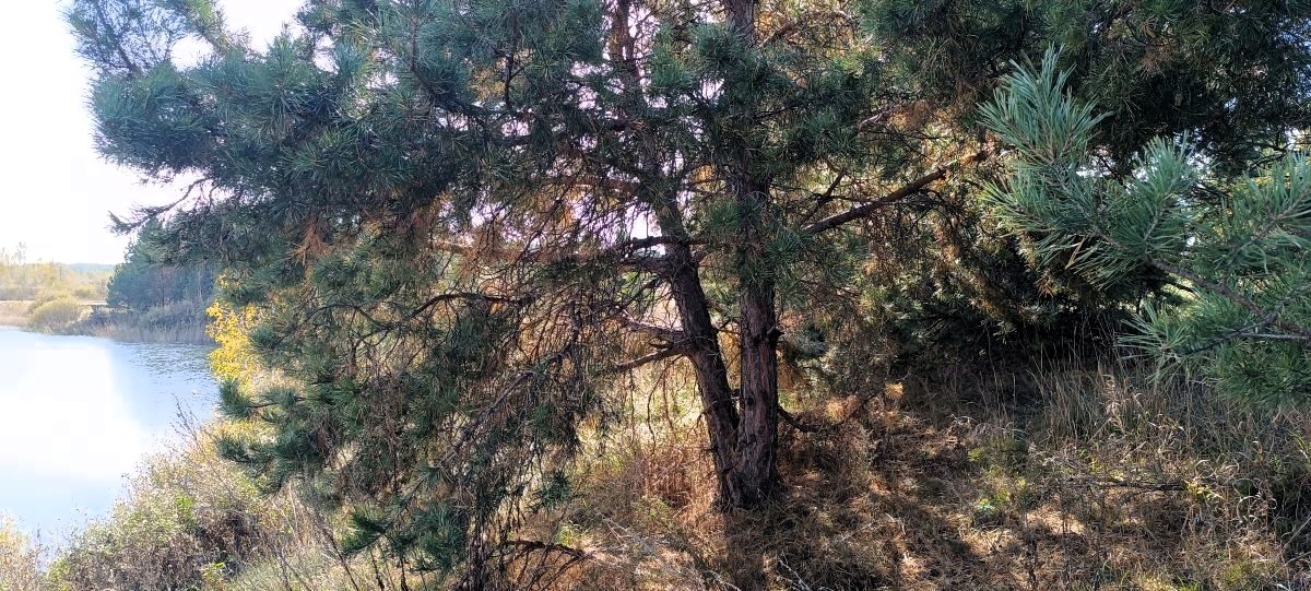 Микрокосмос человека разумного