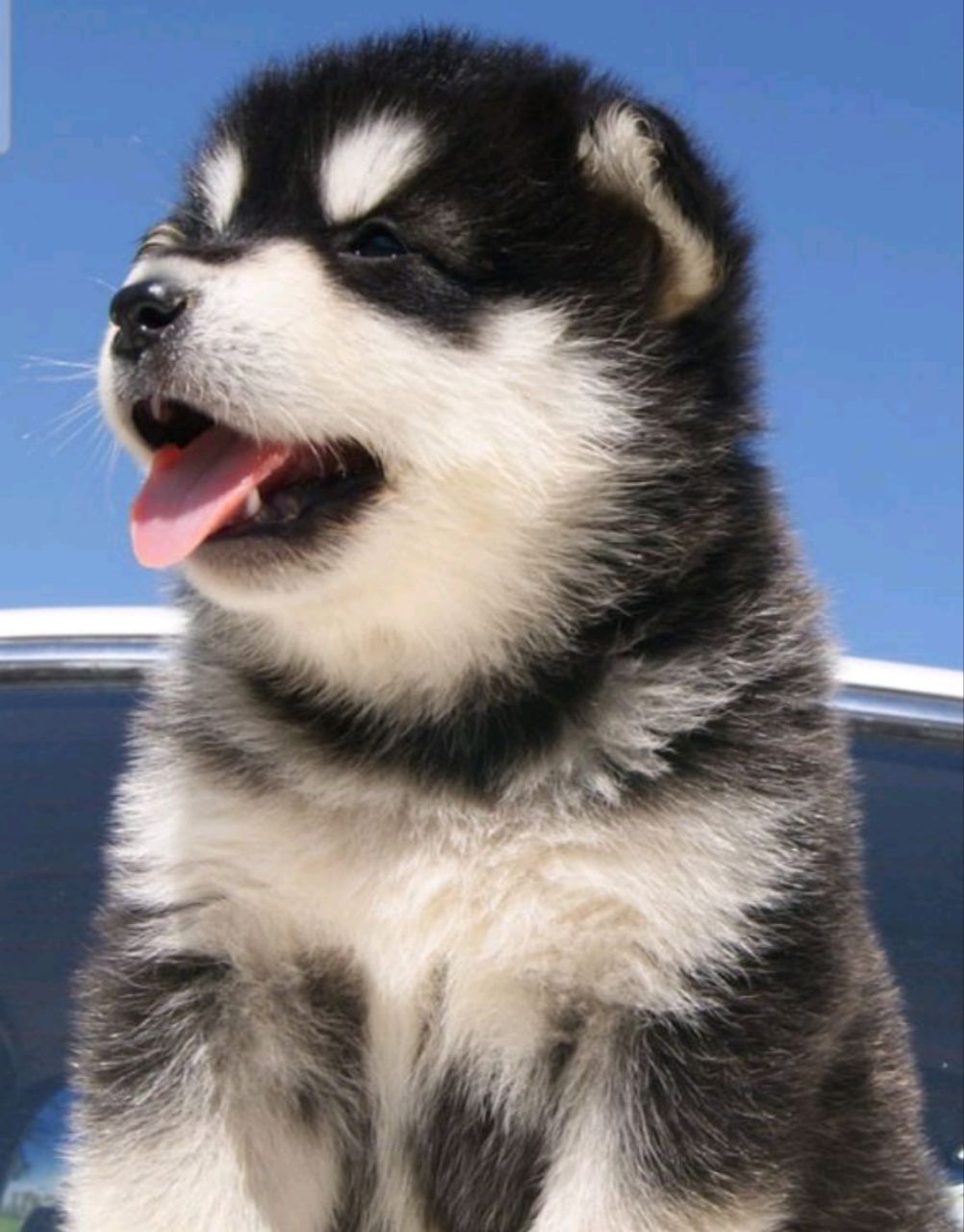 Не та музыка!..