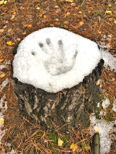 Не за огонь люблю костёр 2022 год