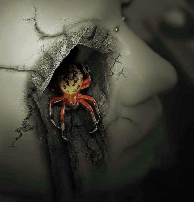 Пасть паука