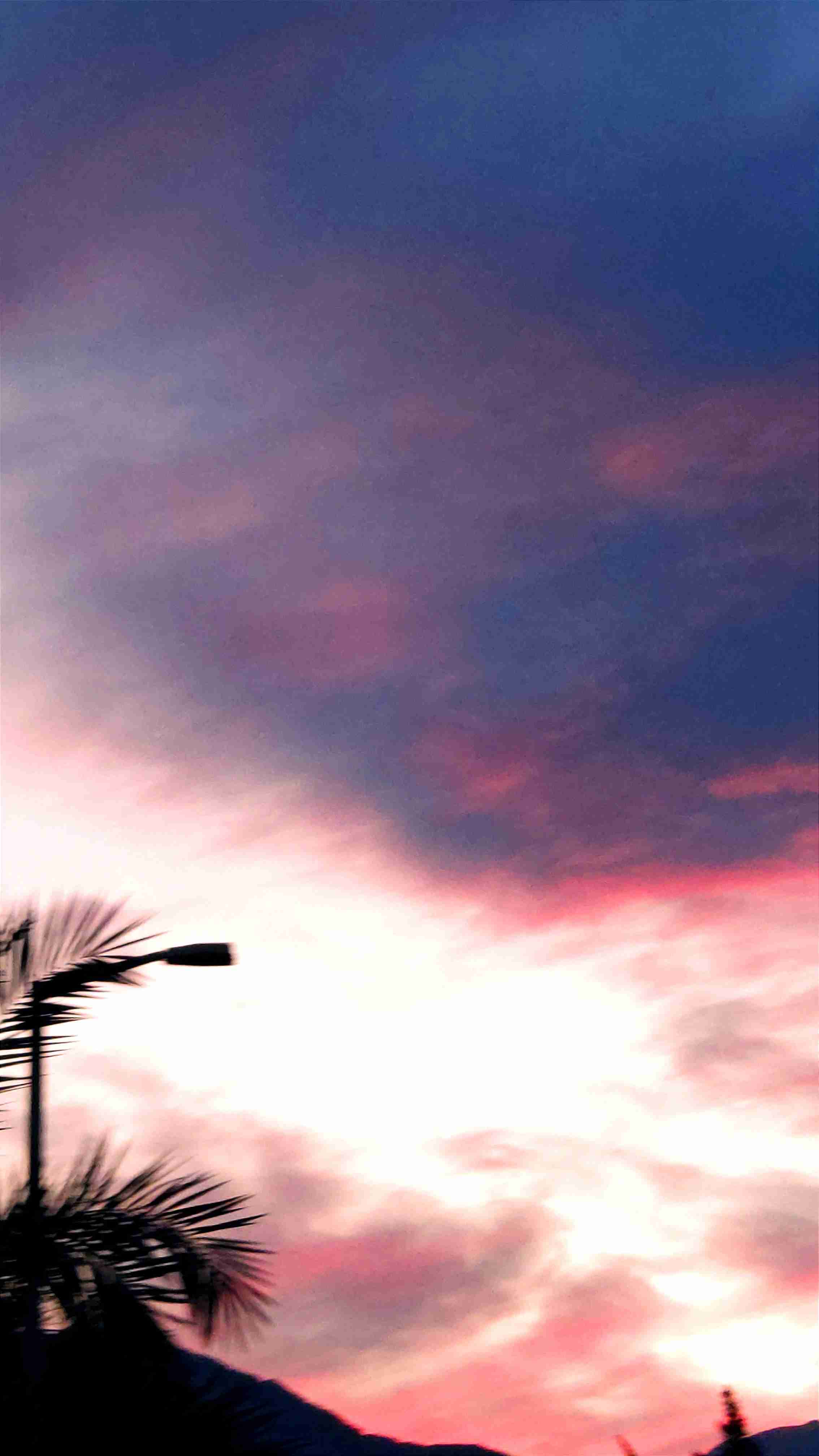 шипы из алых роз!