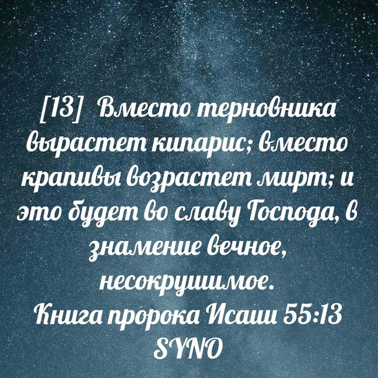 Суть религиозной веры для программистов