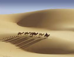 Интеллигент и верблюд