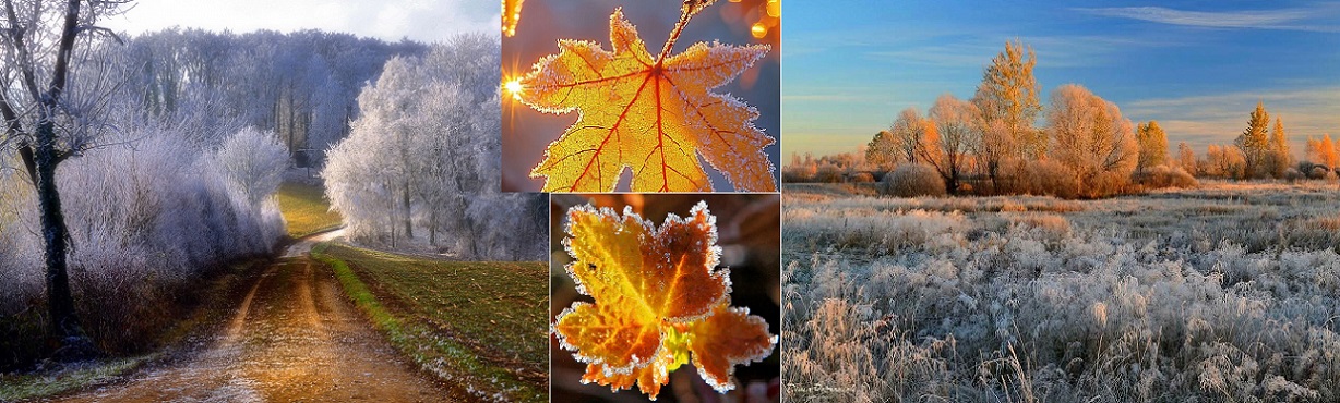 Первые заморозки НОЯбрЯ