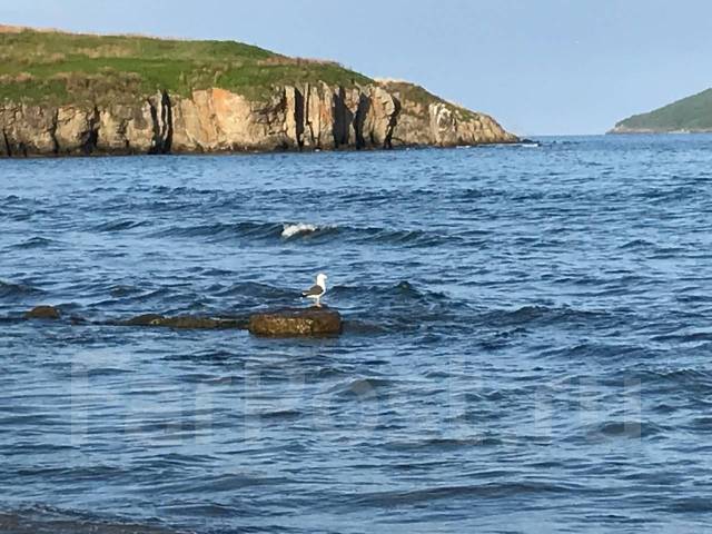 Зал ожидания