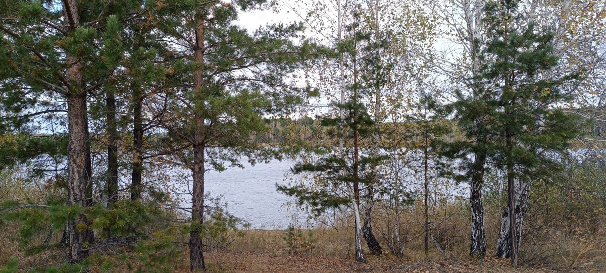 Поиски счастья, любви и свободы