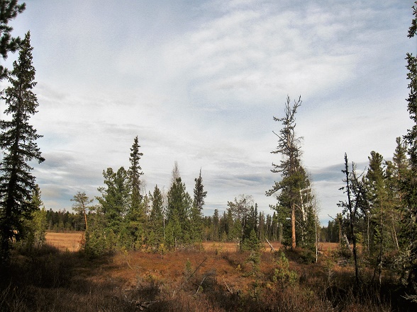 Бог молчит. Часть 7