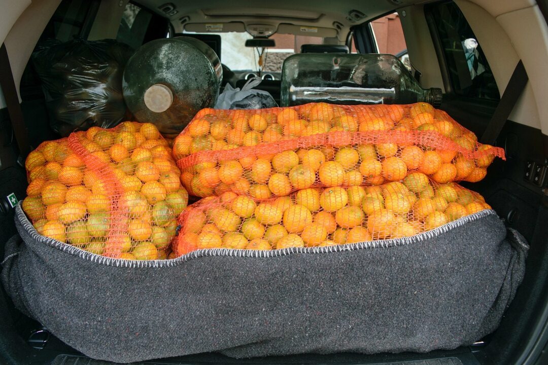 Угостите папу мандаринками?