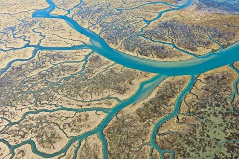 Хроники инженера-разработчика. Глава 3. 7