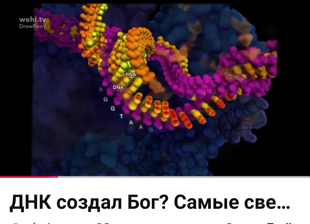 Мы к Вам, профессор