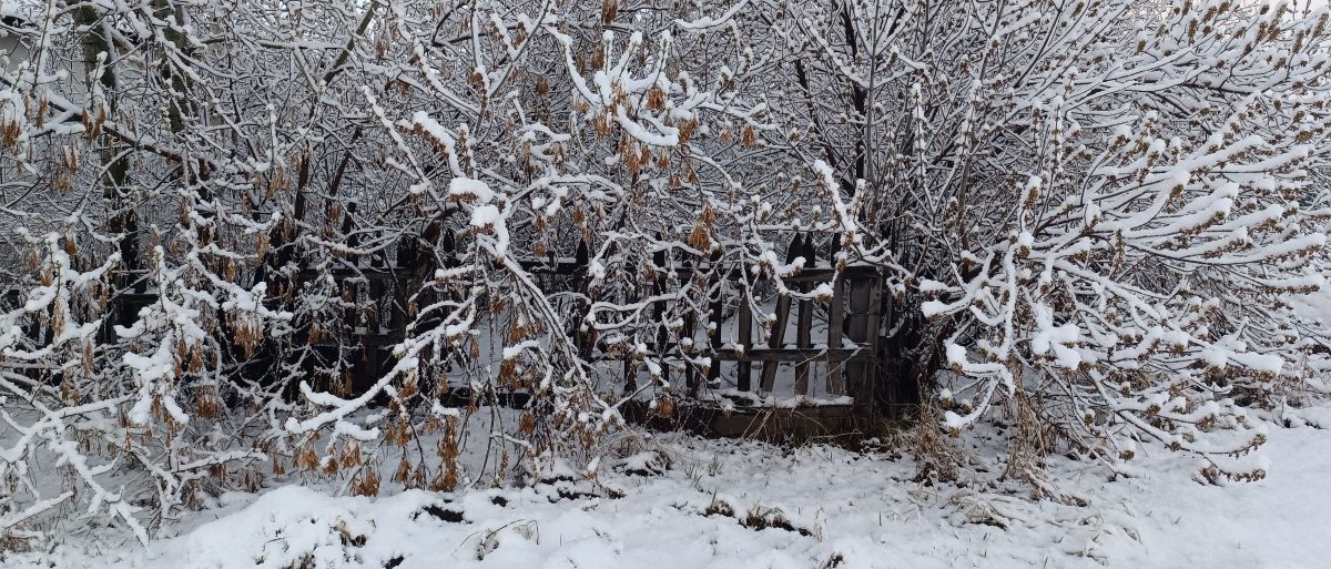 Как творчество определило мой жизненный путь