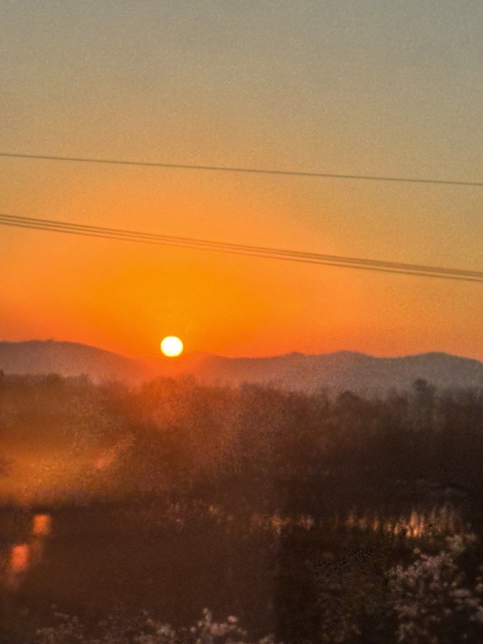 тебе сегодня 2025