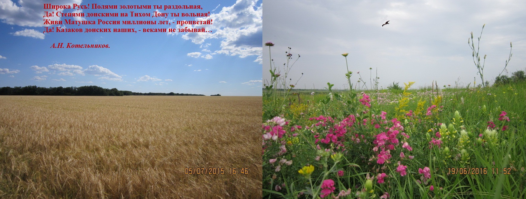 Люблю ли Россию Матушку, - Родину свою