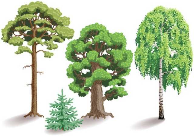 У каждого - своя красота