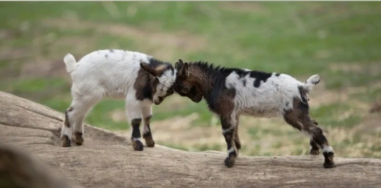 Моя тропинка -стихи