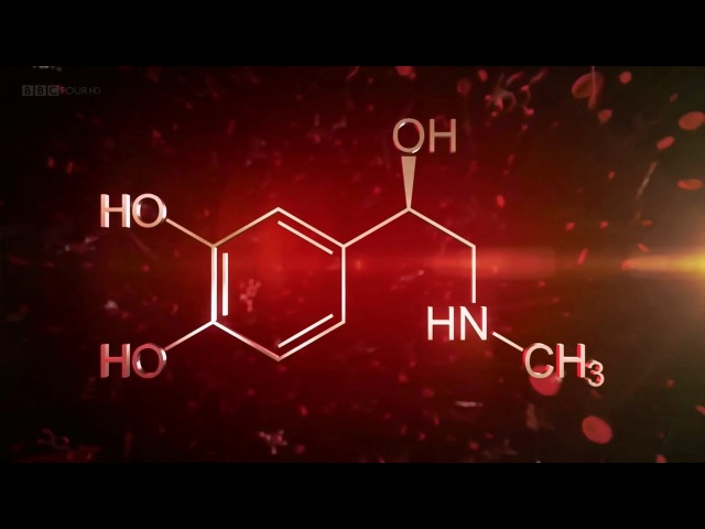 Дофамин-кортизол