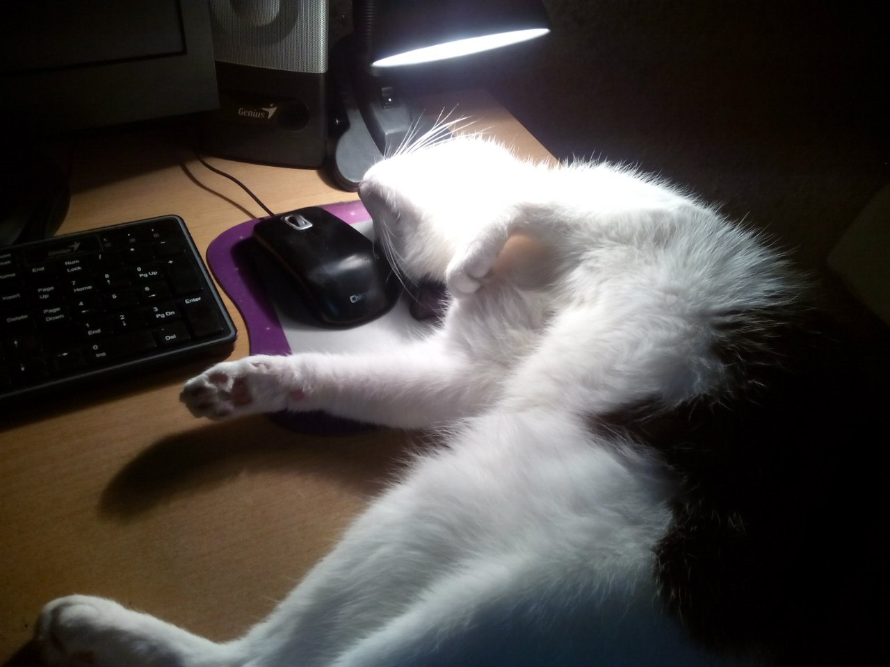 Будни старпёра. 181. Всё когда-то в первый раз