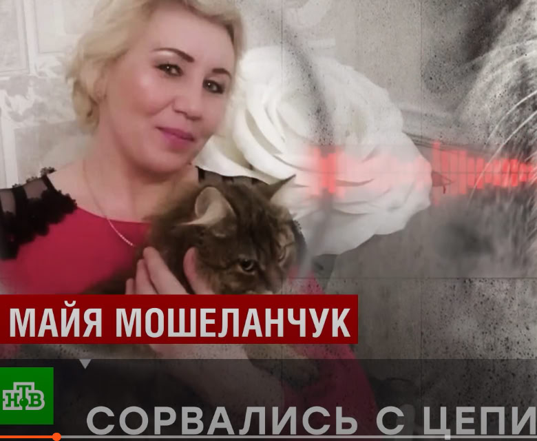 95. Токсичные зоозащитники как с цепи сорвались?!