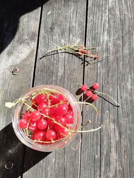 А, что - Вы знаете о боли? Когда любовь...