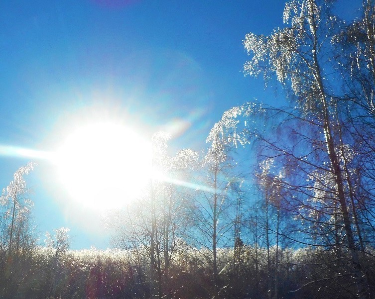 Красота спасёт мир. 2022 год