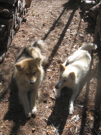 О лайках и о людях. Часть3