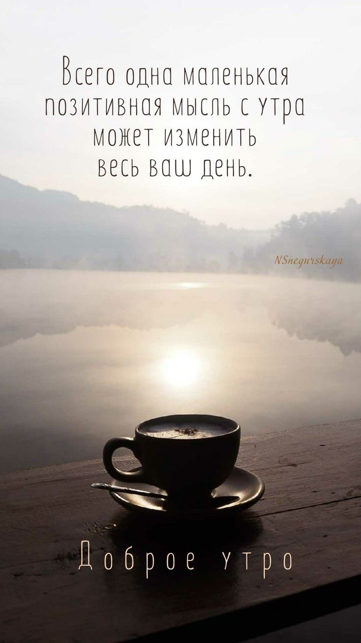 Маятник дня