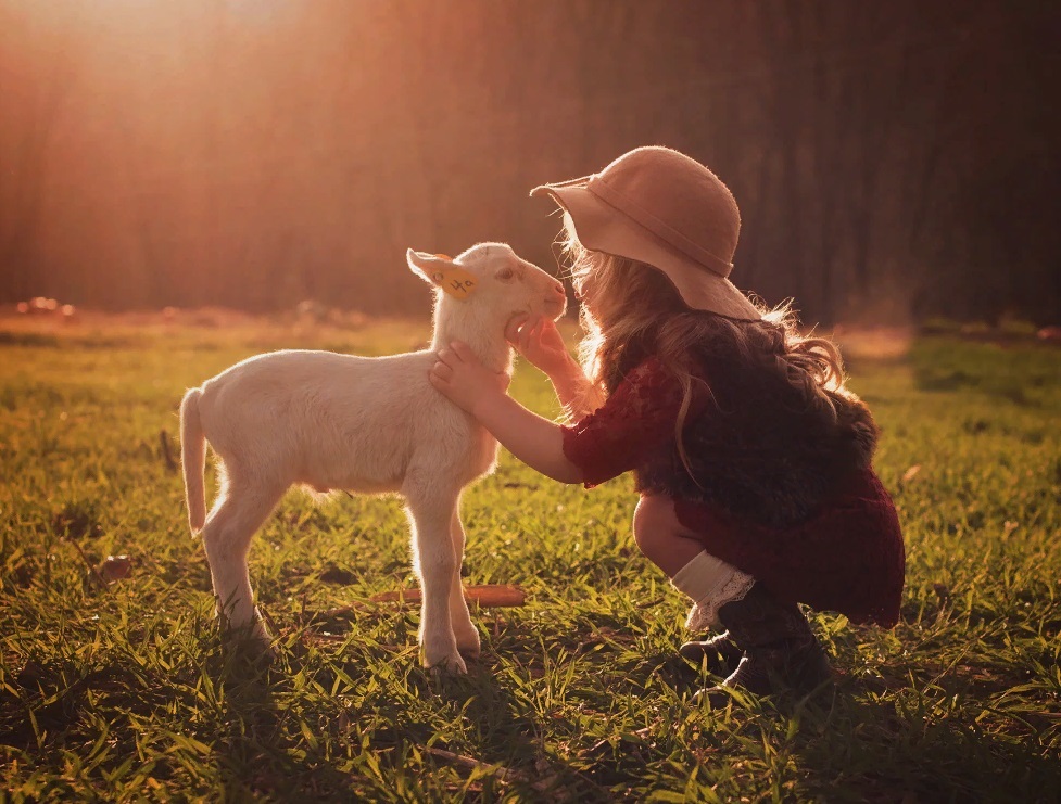 Завтра встретимся опять. стихи