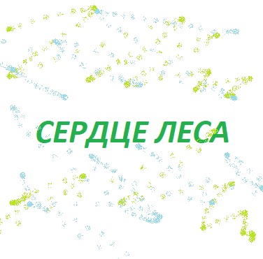 Сердце Леса