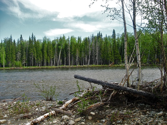 О лайках и о людях. Часть 4