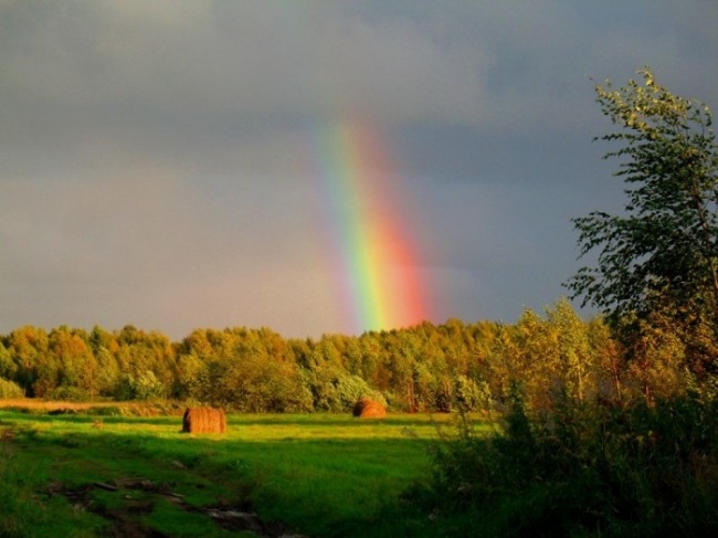 Я вышел в сад