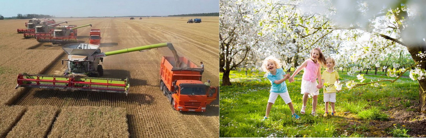 В ближайшем будущем возобладает мир на земле