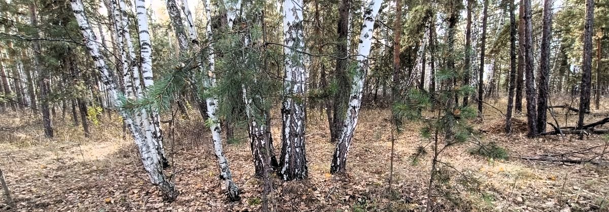 Закономерность случайностей в жизни