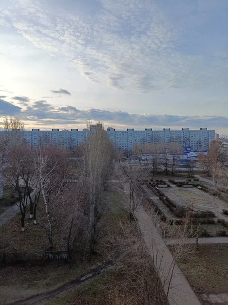 21 ноября. Ещё немножко и будут ёлки