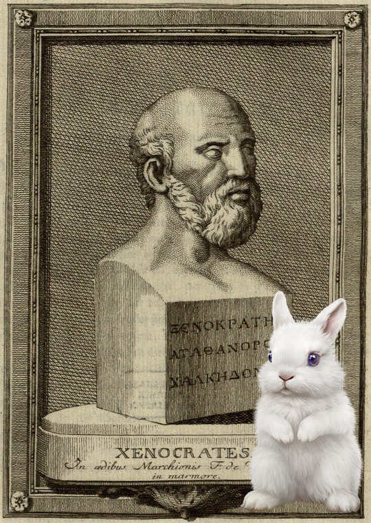 Заяц и строгий философ