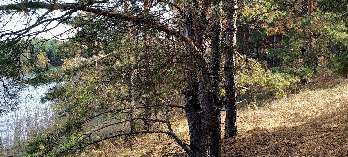 За пределами нашего зрения и слуха
