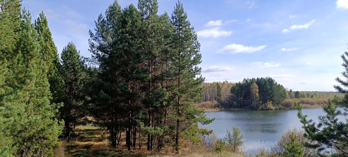 Невидимый враг или полезный инструмент