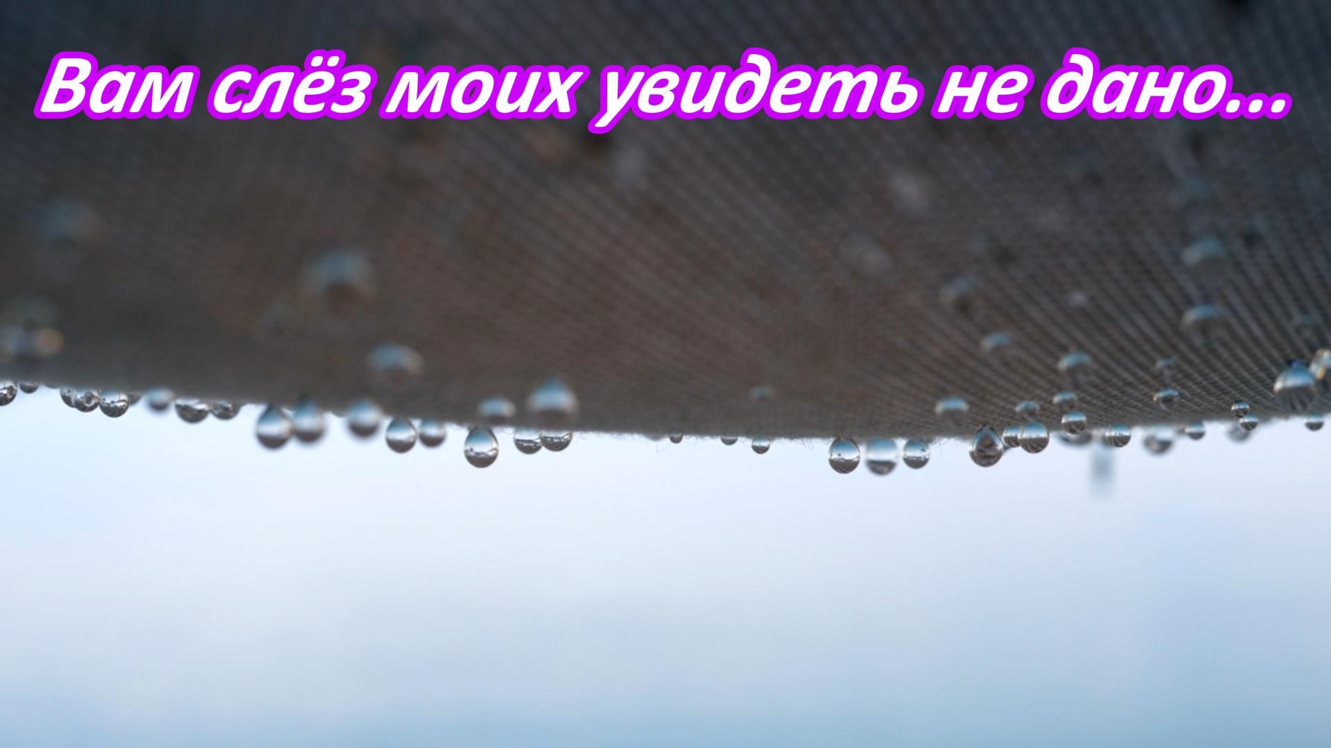 Вам слёз моих увидеть не дано... Премьера песни!