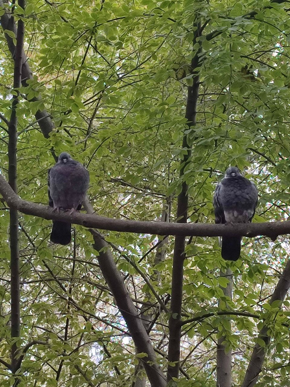 Отношения. Лишь бы тяжело