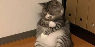 И тогда не упадёшь