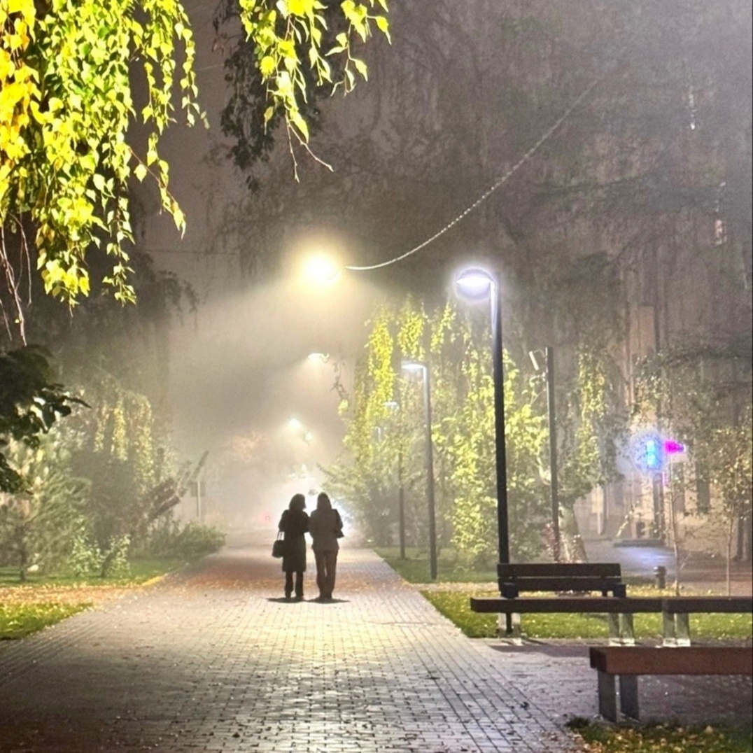 Прощай мой город