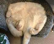 Три миниатюры