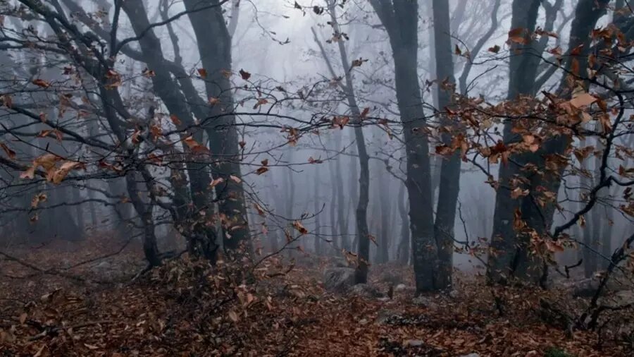 Поговори со мной, пока я не ушла. ЛЗ 130, 16. 11