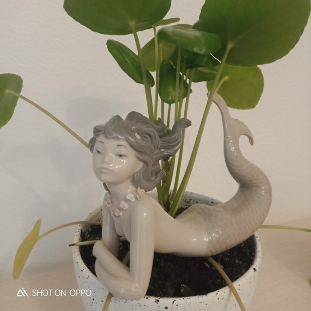 День Психолога