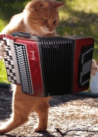 Вчера хозяйка выгнала из дома