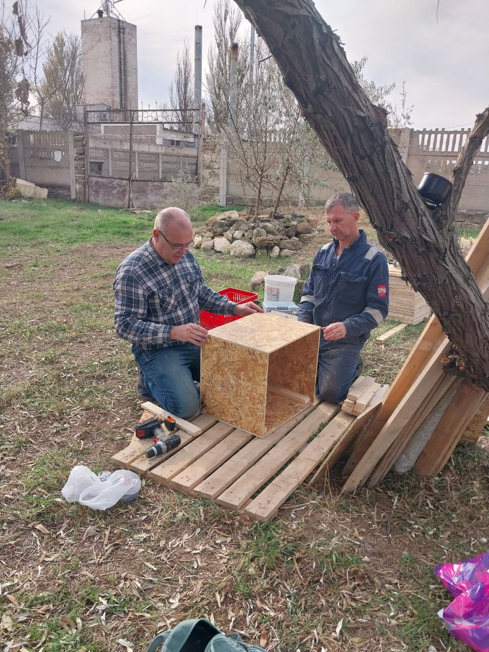 96. Маленьким кошечкам холодно зимой