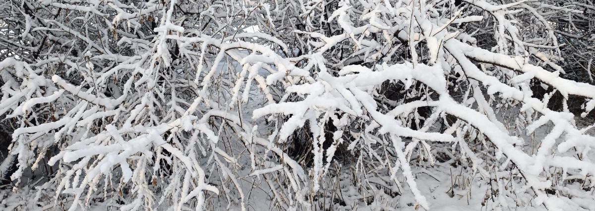 Время и пространство портал между мирами