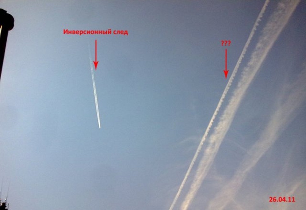 Сетка алчности...